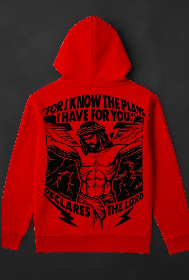 Jeremiah 29:11 Hoodie